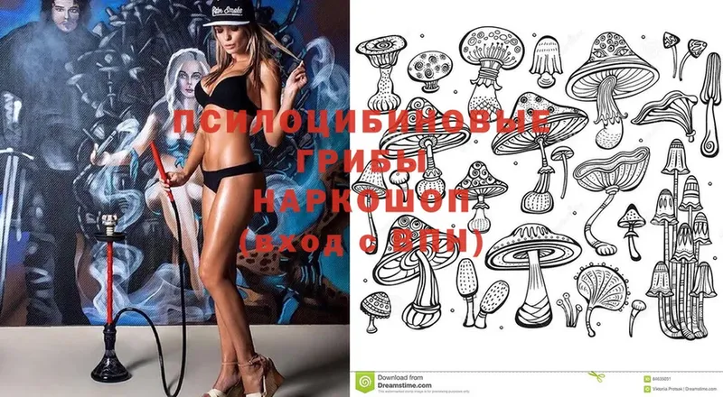 Псилоцибиновые грибы Psilocybine cubensis  MEGA ссылка  Черкесск 